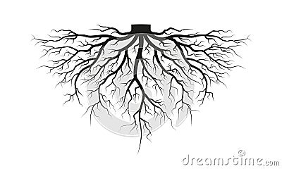 Root of the tree. Black silhouette. Vector illustration. Vector Illustration